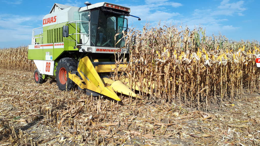 kombajn, kukurydza, pole, niebo
