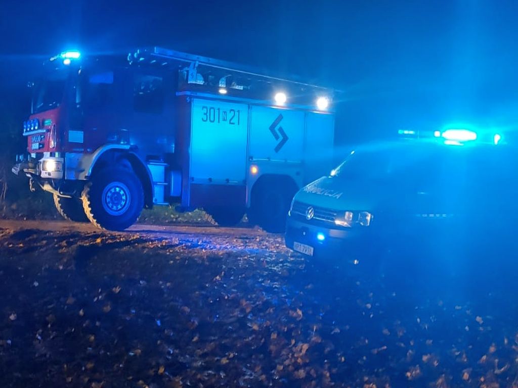 gospodarstwa rolne, powierzchnia użytków rolnych