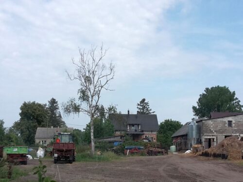 gospodarstwa rolne, powierzchnia użytków rolnych