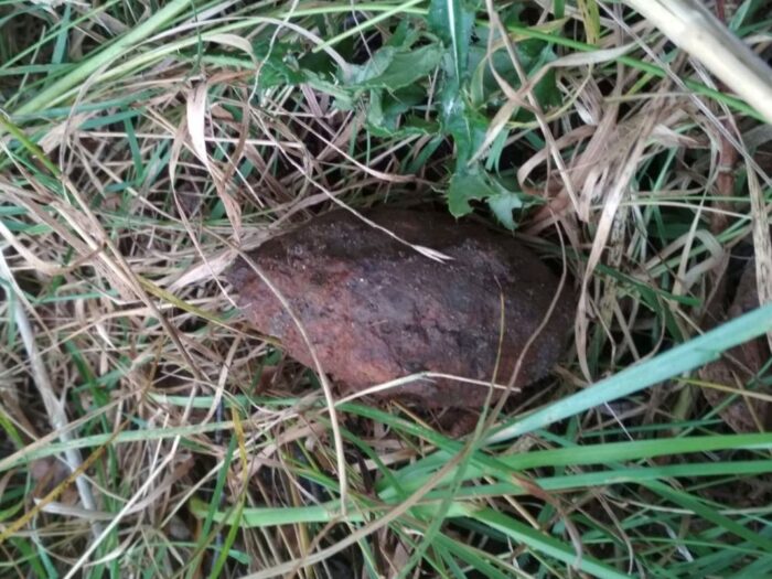 niewybuchy na polach, wykopki, gmina stary brus, Kołacze, Elwira Tadyniewicz