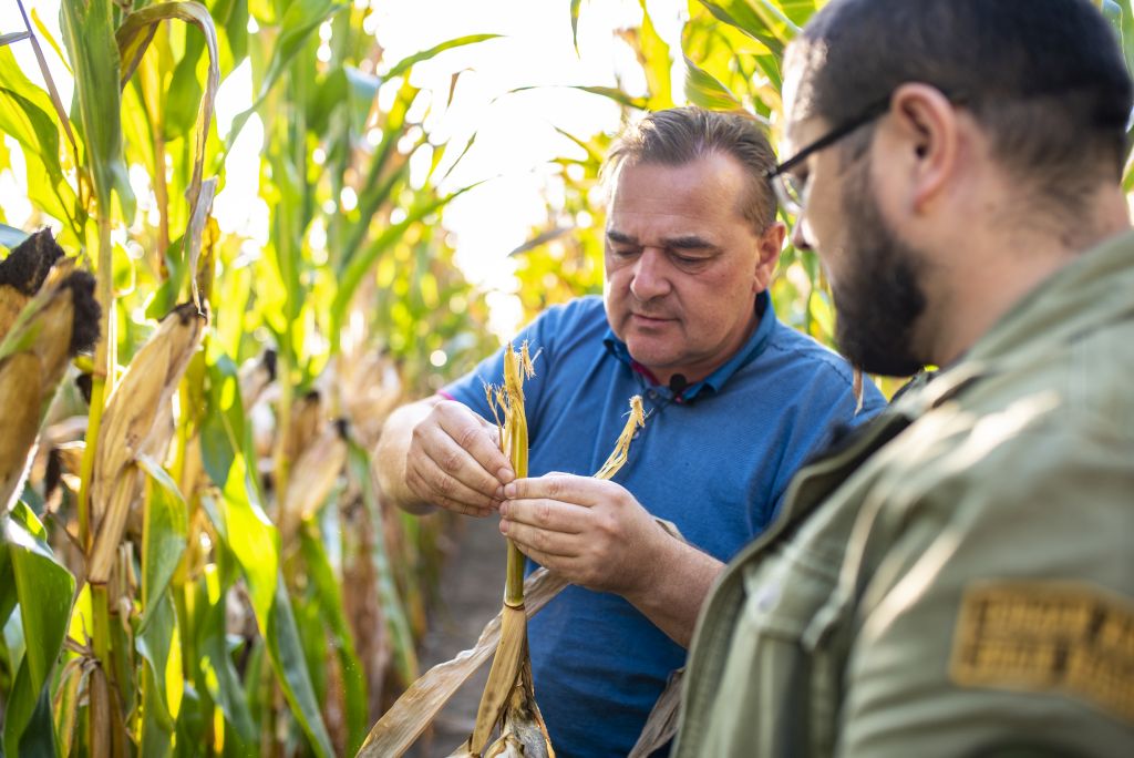 rolnictwo zrównoważone, ForwardFarming, Bayer, Krzysztof Nykiel, zmiany klimatu