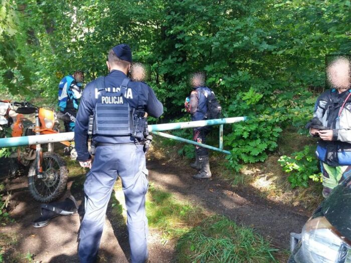 las, ściółka, pożary lasów, susza