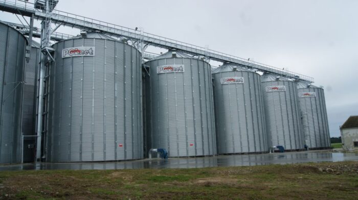 wołek zbożowy, zwalczanie wołka zbożowego, warunki rozwoju wołka zbożowego