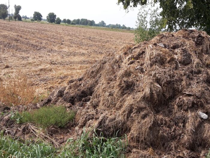 fosforowe nawozy mineralne, nawozy organiczne, Nature Communications