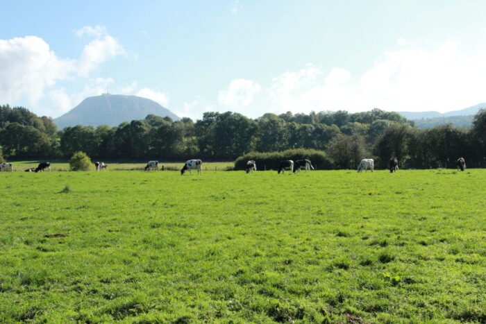 wartość użytkowa łąk, WUŁ