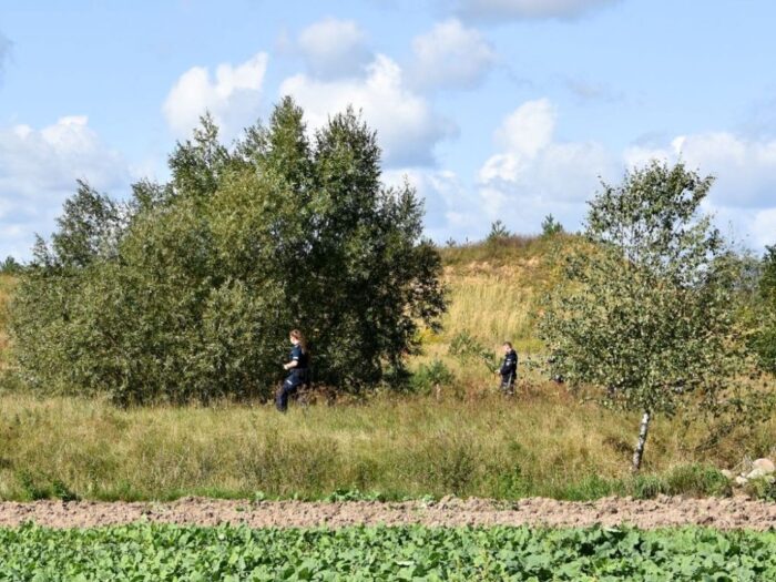 ludzkie szczątki na polu łubinu, Modrzejowice, gmina Skaryszew, Beata Galas