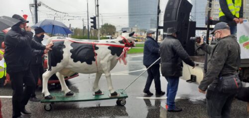 piątka dla zwierząt, protest, rolnicy, hodowcy zwierząt, producenci zwierząt, Agrounia, protest rolniczy, rolnictwo