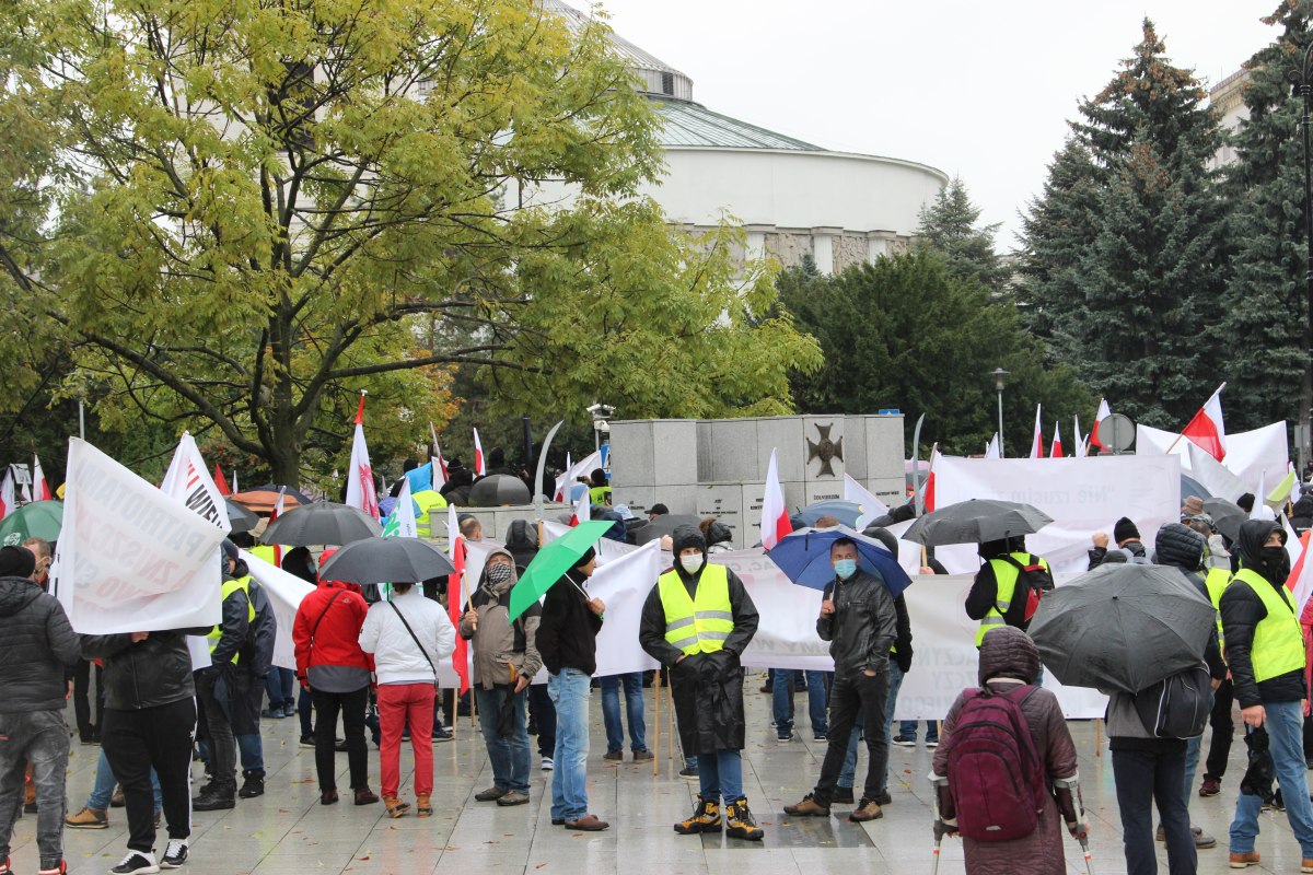 Sejm, prawo, polityka, zakaz hodowli zwierząt futerkowych, piątka dla zwierząt