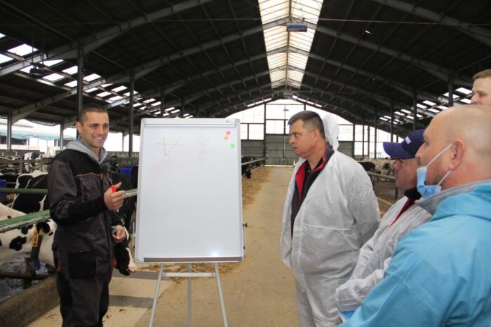 zdrowotność racic, korekcja racic, basen, pianowanie, Cid Lines,