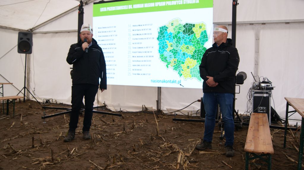 Syngenta, odmiany kukurydzy firmy Syngenta, nowe odmiany kukurydzy, Pola klasy S
