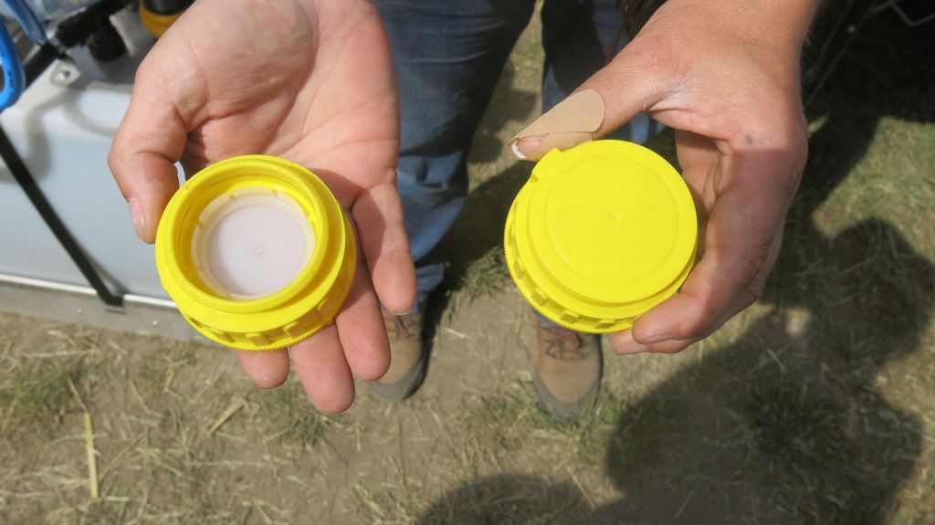 Pola Klasy S, Syngenta, Polwica, Tiberiu Serbanoiu, aplikacja myFIELD