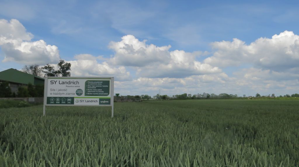Pola Klasy S, Syngenta, Polwica, Tiberiu Serbanoiu, aplikacja myFIELD