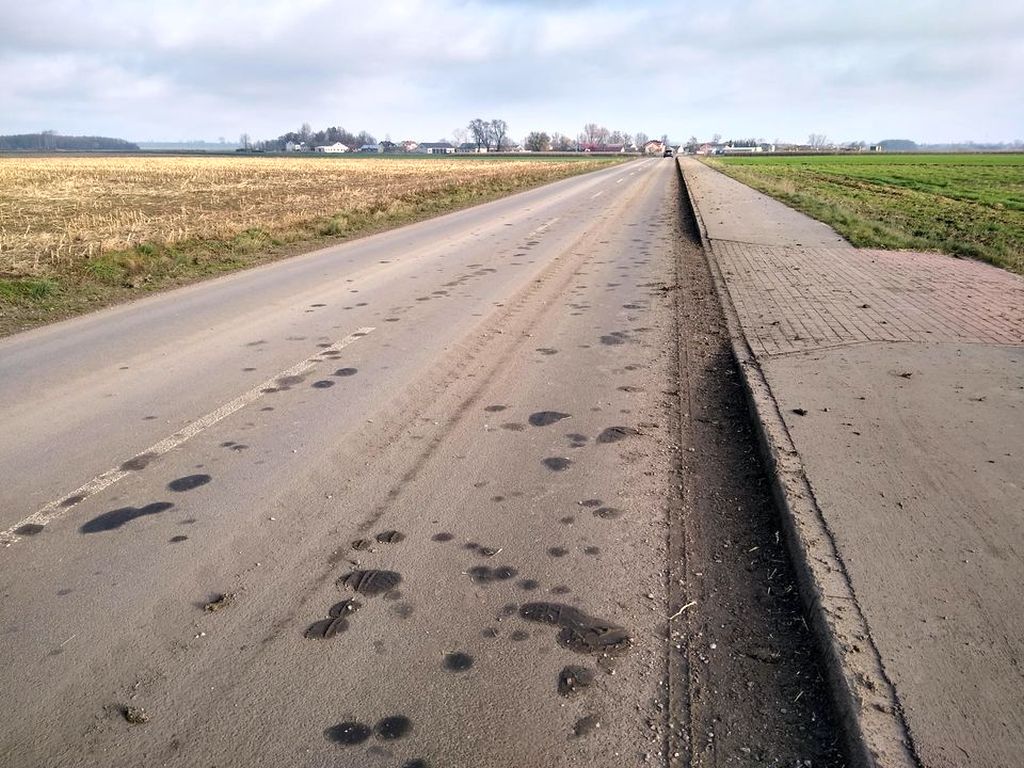 błoto na drodze, zanieczyszczone drogi, Powiatowy Zarząd Dróg w Ciechanowie, Pokojewo, Kąty