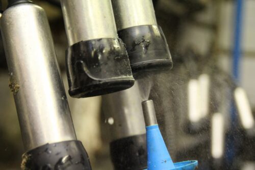 mastitis, zapalenie wymienia, Kersia, higiena przedudojowa, higiena poudowjowa, wymię, strzyki, dipping, piana