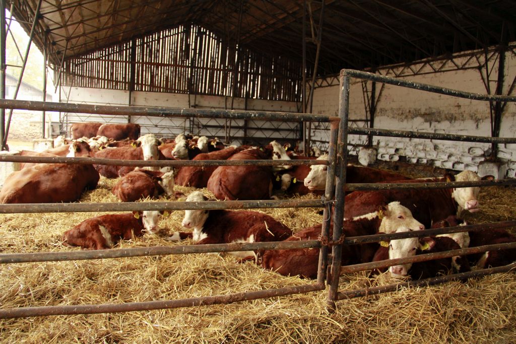 Ceny produktów rolno-spożywczych, łańcuch dostaw żywności, nieuczciwe praktyki handlowe