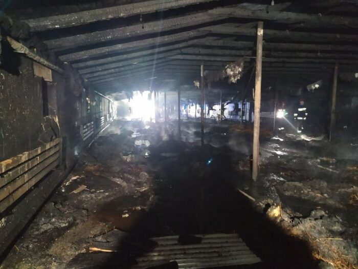 pożary kurników, Podjazy, powiat kartuski, Jastrzębska Wola, powiat opatowski