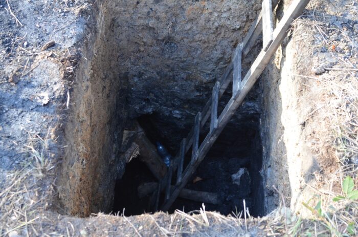 las, ściółka, pożary lasów, susza