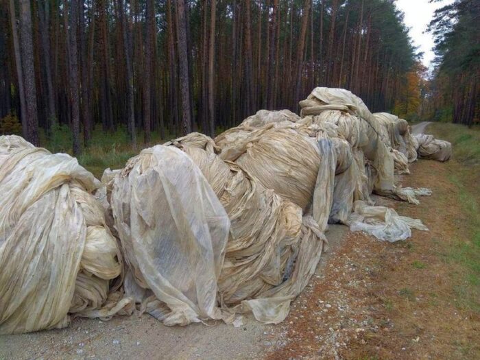 las, ściółka, pożary lasów, susza