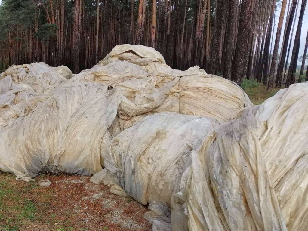 las, ściółka, pożary lasów, susza