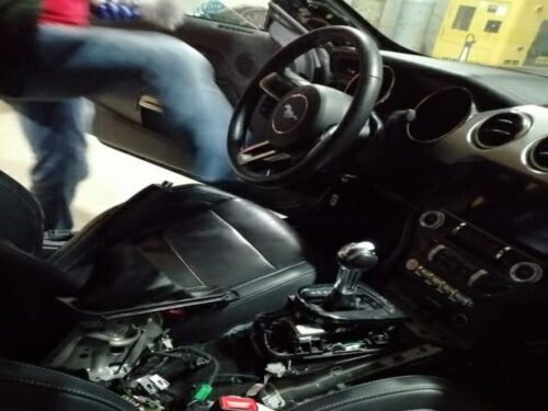 kradziony mustang w gospodarstwie, powiat sokołowski, Jakub Więsak