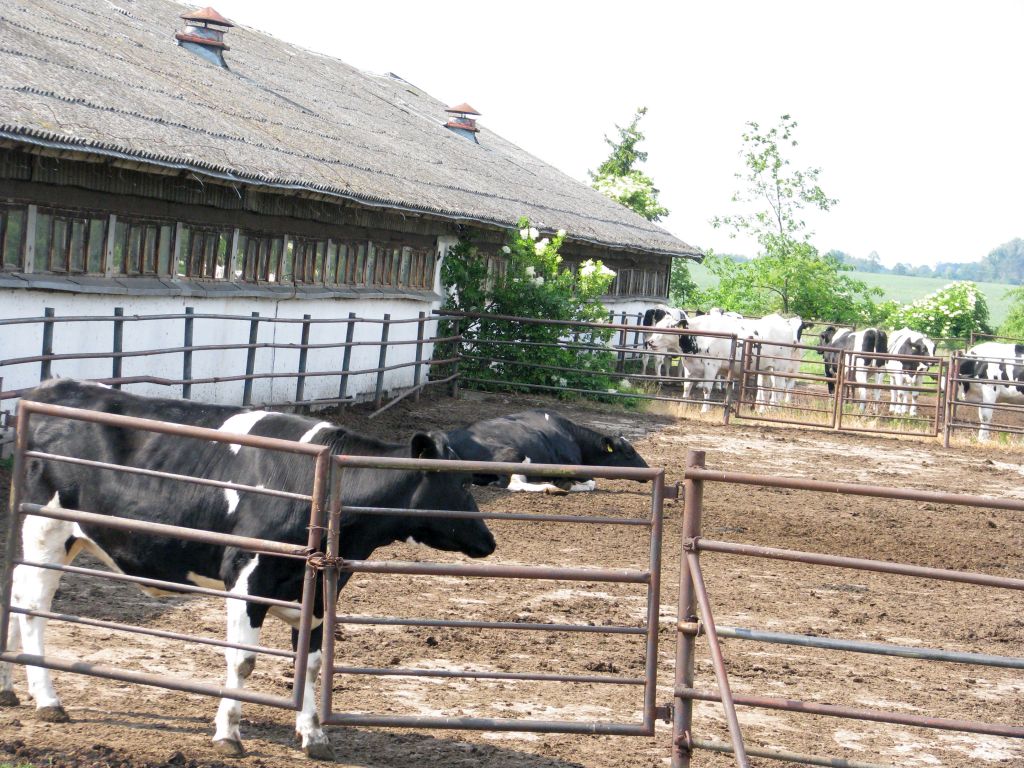 ustawa odorowa, hodowla zwierząt, rolnictwo, michał kurtyka