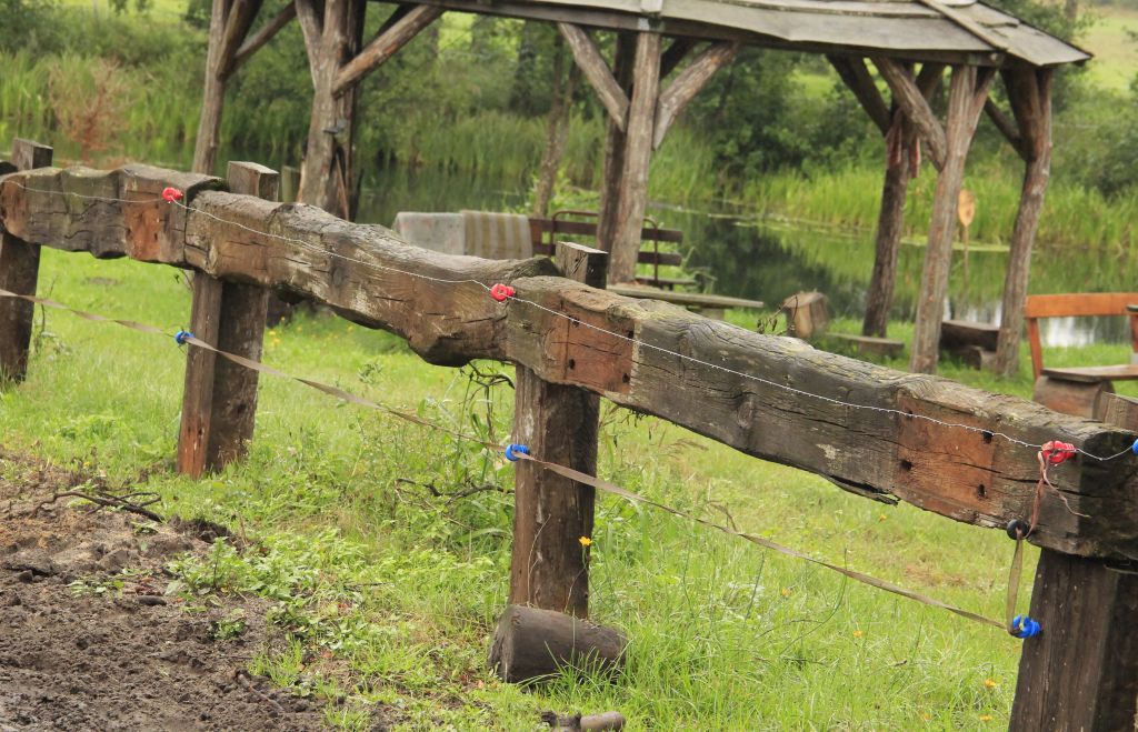 pastwiska, podkłady kolejowe, szkodliwe związki chemiczne, olej kreozotowy