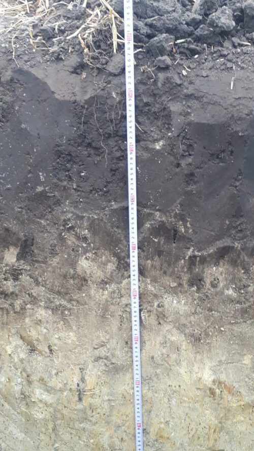 gleba, profl, odkrywka, Sahryń