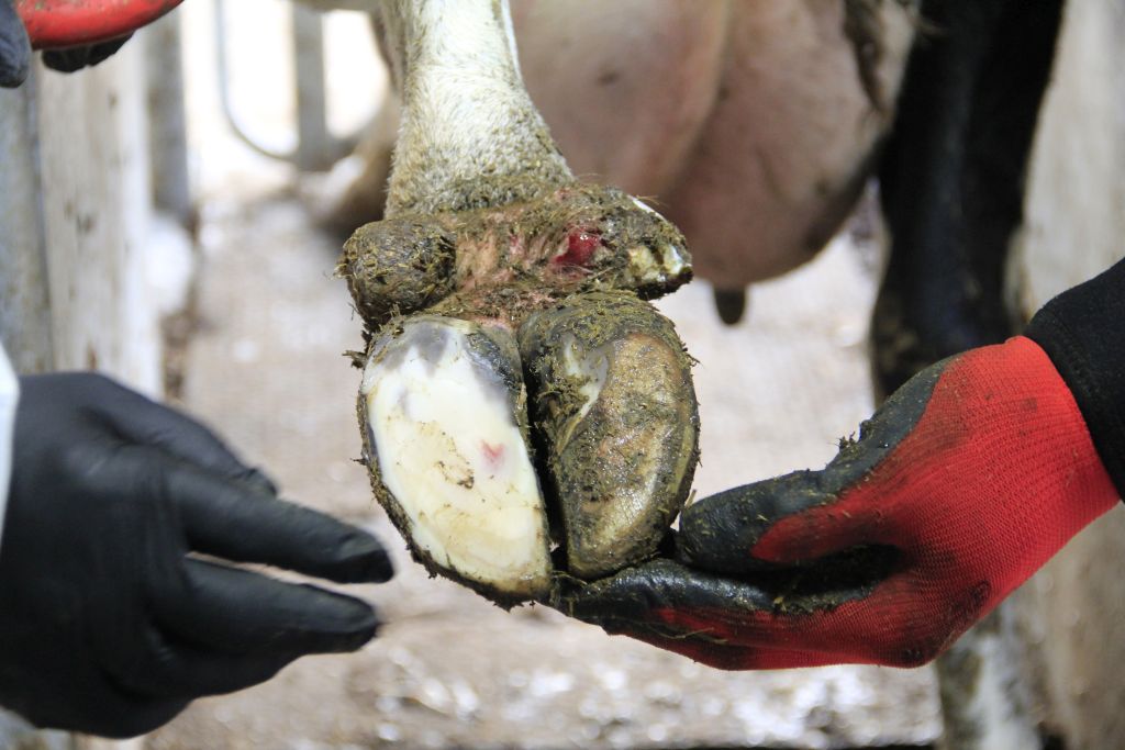 rozpoczęcie działalności pozarolniczej, biznes na wsi, arimr, wsparcie dla rolnictwa