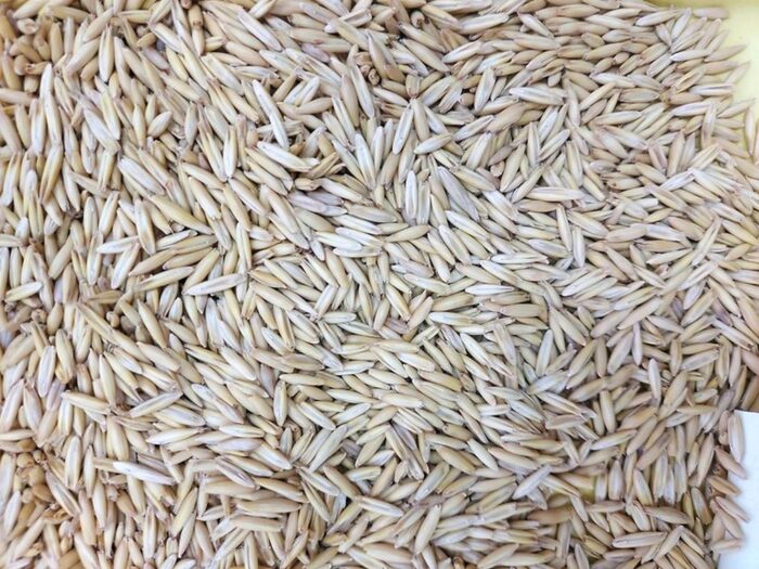 dopłaty do materiału siewnego, wsparcie dla rolnictwa, pomoc de minimis