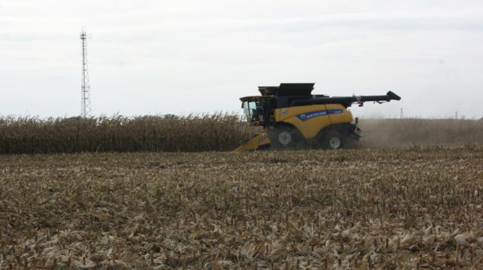 zbiory kukurydzy na ziarno, kukurydza ziarnowa, ceny kukurydzy, Chiny kupują kukurydzę,