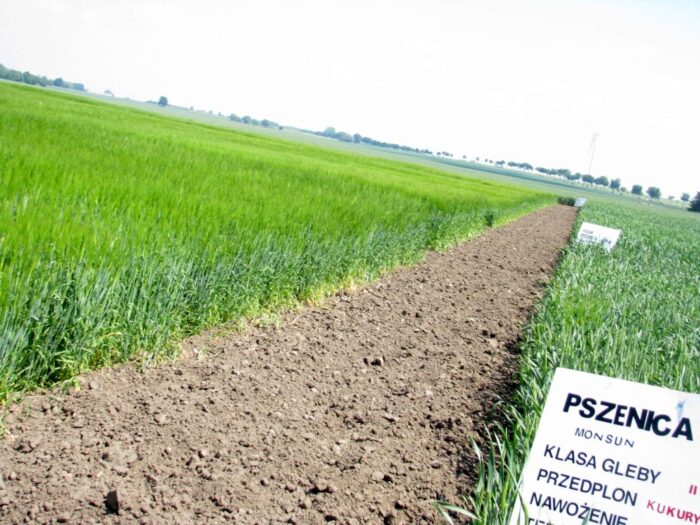 Europejski Zielony Ład , Marek Mrówczyński, IOR-PIB w Poznaniu, strategiia Od pola do stołu