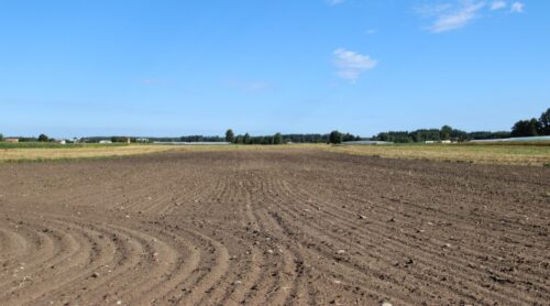 nawożenie, NIK, raport, gleba, uprawa, badanie gleby