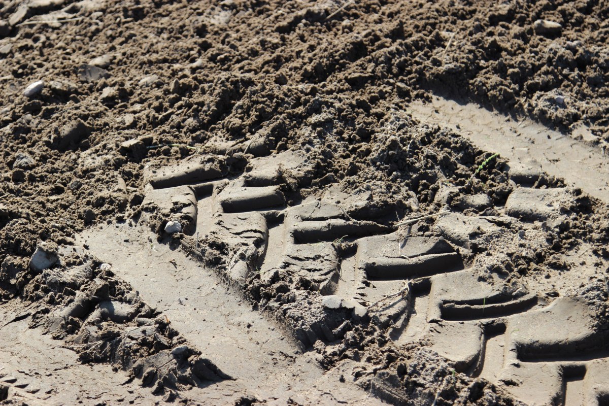 nawożenie, NIK, raport, gleba, uprawa, badanie gleby