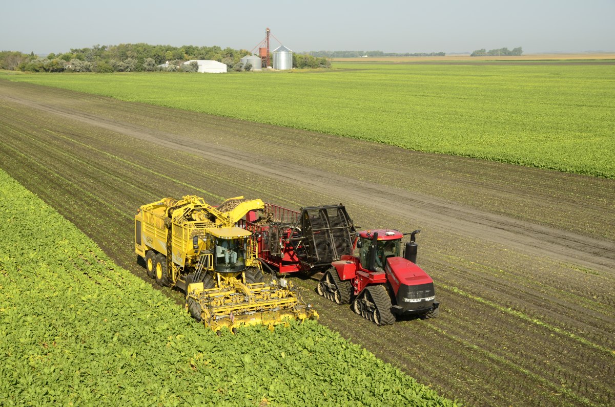 rolnictwo zrównoważone, zrównoważone praktyki rolnicze, audyt zrównoważonego gospodarstwa rolnego