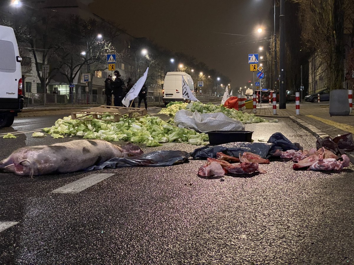 agrounia, protest rolników, strajk rolników, agrounia w warszawie, protest na ulicy mickiewicza