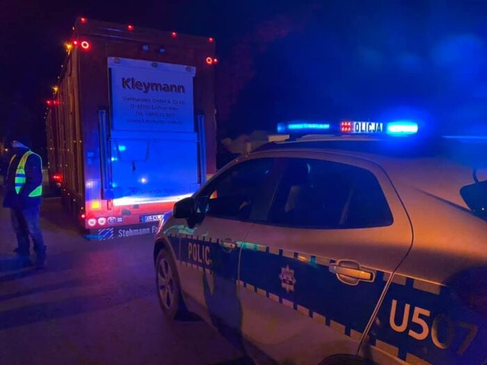 AGROunia, transport tuczników, tuczniki z Niemiec, GLW, PLW, dobrostan zwierząt, żywiec wieprzowy, transport świń