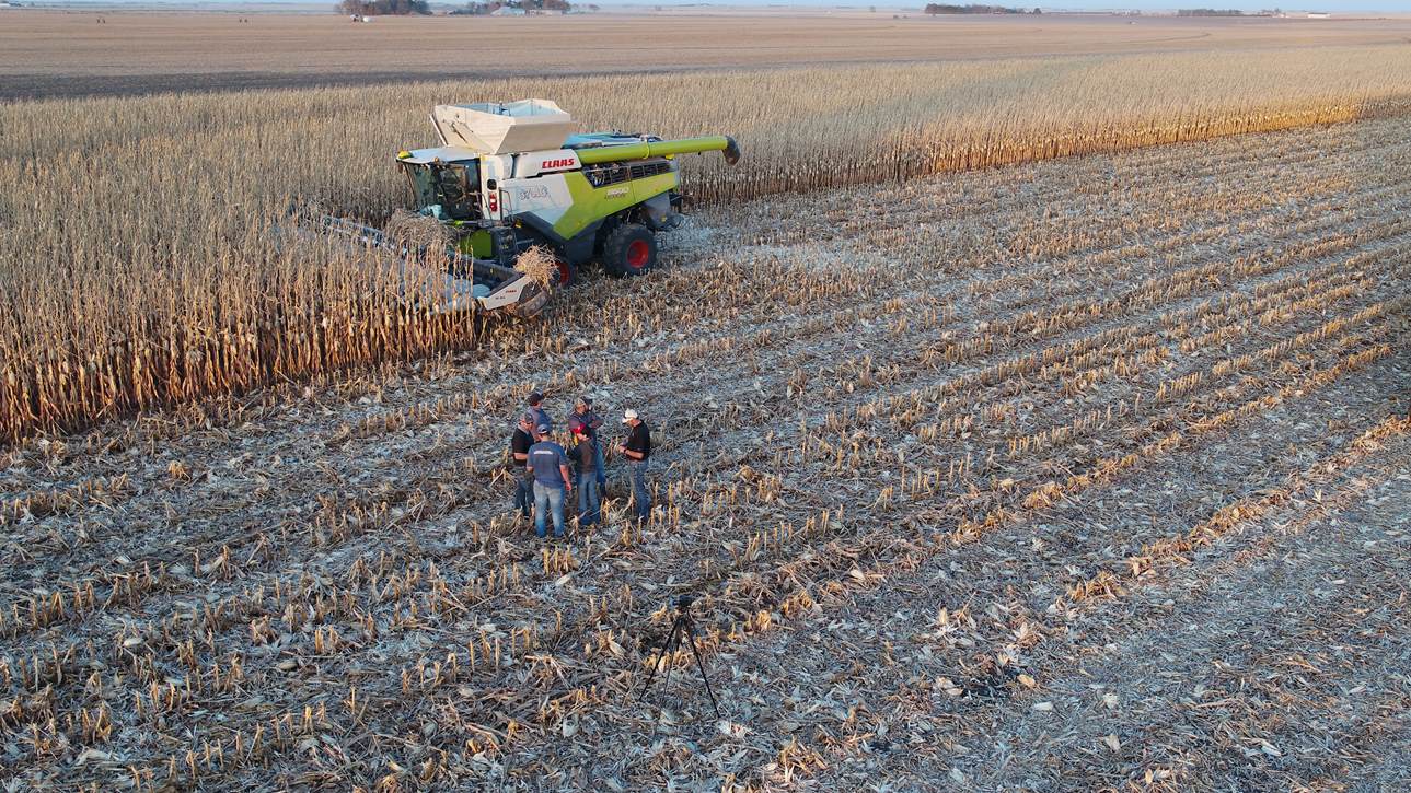 rekord zbioru kukurydzy na ziarno_2020 rok