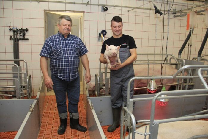 produkcja tuczników, warchlaki, cykl zamknięty, lochy, modernizacja, nowa chlewnia,