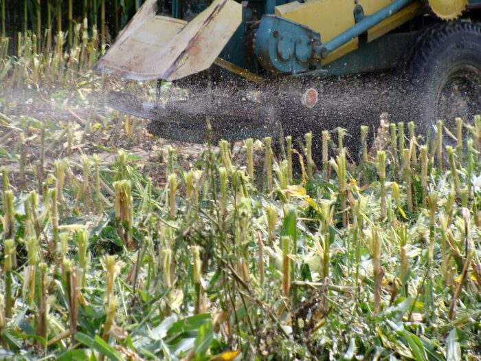 zakwaszenia gleb rolnych, raport gus, wapnowanie, nawożenie