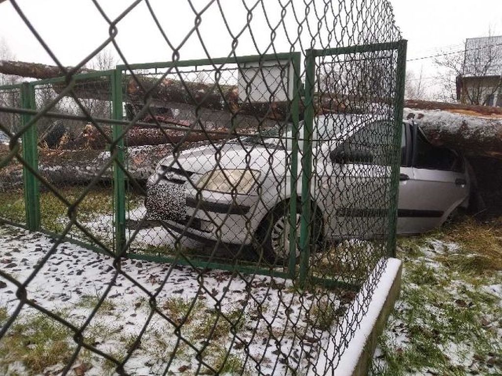 transport drewna, Bistuszowa, powiat tarnowski, KMP Tarnów