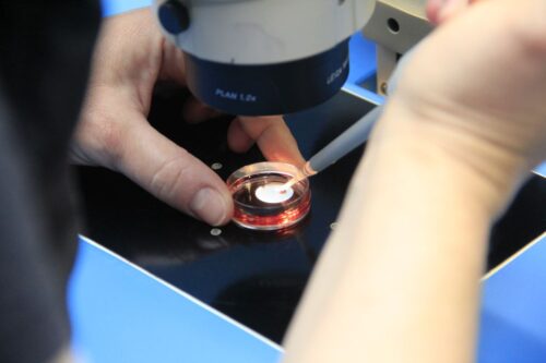 mięso z laboratorium, Singapur, mięso drobiowe z laboratorium, restauracje, Eat Just