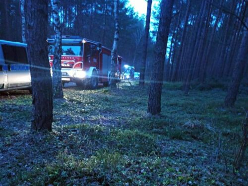 Marianów, powiat włoszczowski, wycinka drzew, KMP Wrocław