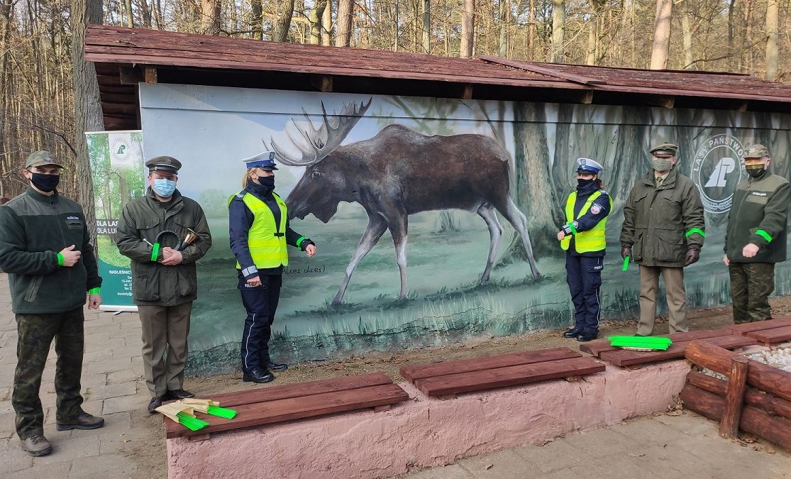 wypadki z udziałem łosi, dzikie zwierzeta na drogach, mazowsze, lubelszczyzna, policja, straż pożarna