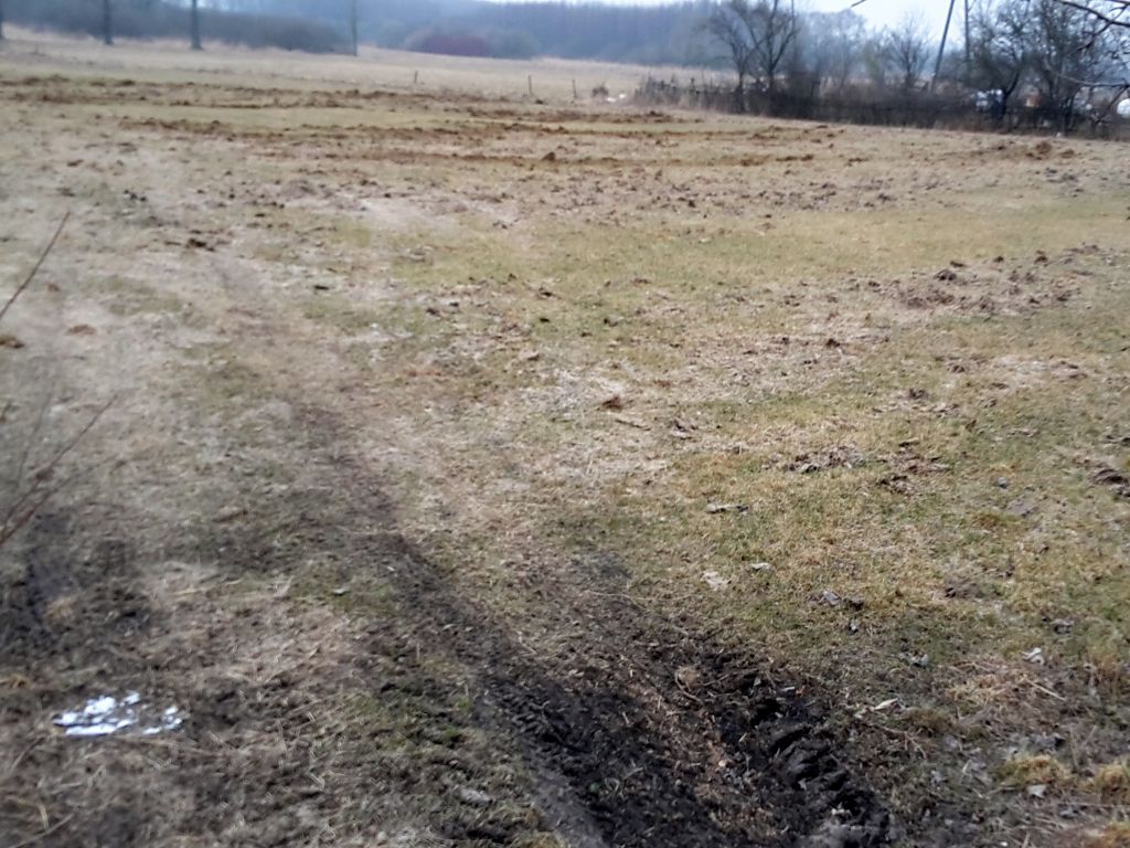 odszkodowania za szkody łowieckie, Prawo łowieckie, Edward Siarka