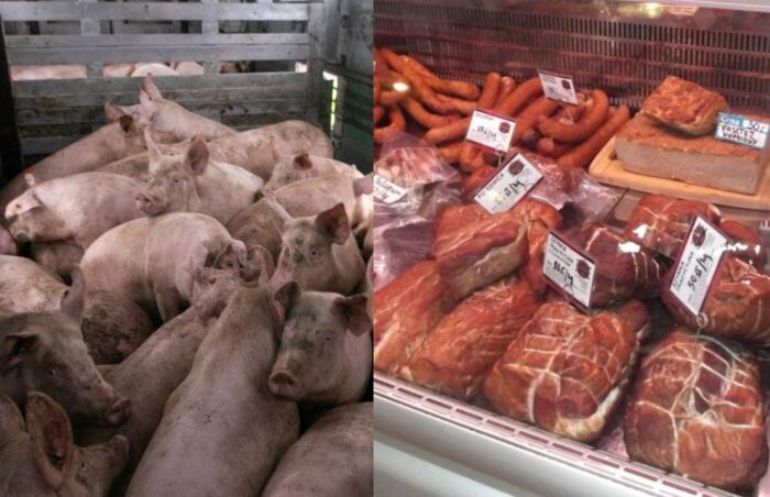 marża dla rolnika,droga od pola do stołu, nieuczciwe praktyki handlowe