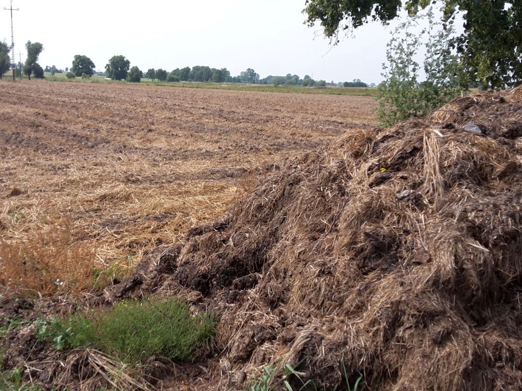 stosowanie nawozów azotowych, nawożenie, Polski Związek Producentów Roślin Zbożowych