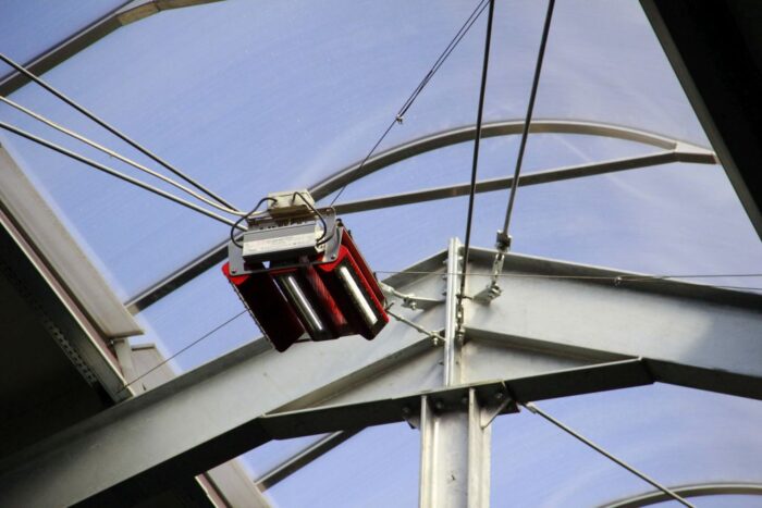 Roboty udojowe, obora, Pszczółkowscy, ruszta