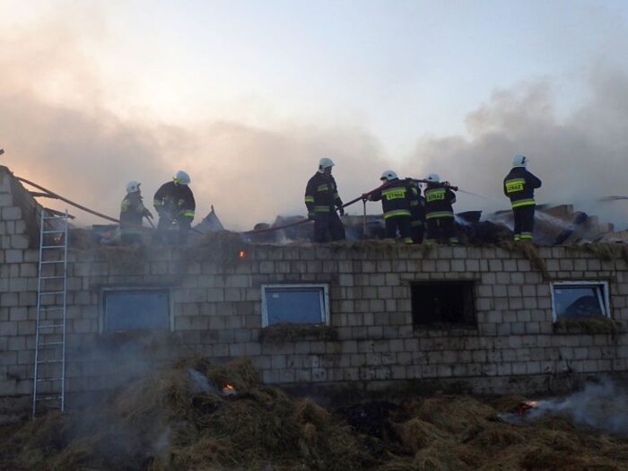 pożar kurnika, perliczki, Rogoźnica, powiat bialski, Artur Tomczuk