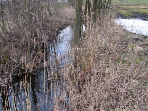 rowy melioracyjne, podlasie, wody polskie, rdoś w białymstoku