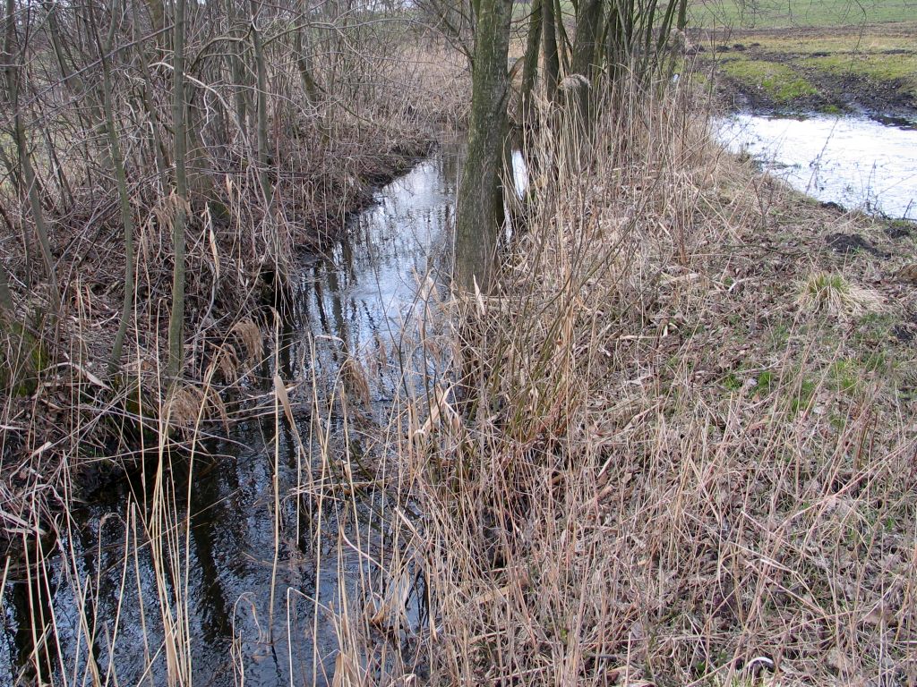 rowy melioracyjne, podlasie, wody polskie, rdoś w białymstoku